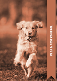 12B. FLEA & PEST CONTROL.indd